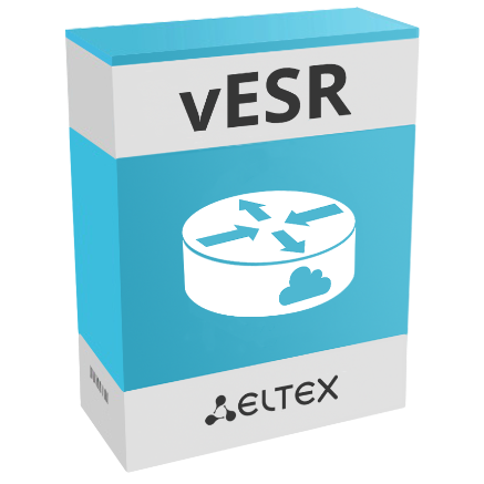 Виртуальный сервисный маршрутизатор Eltex vESR